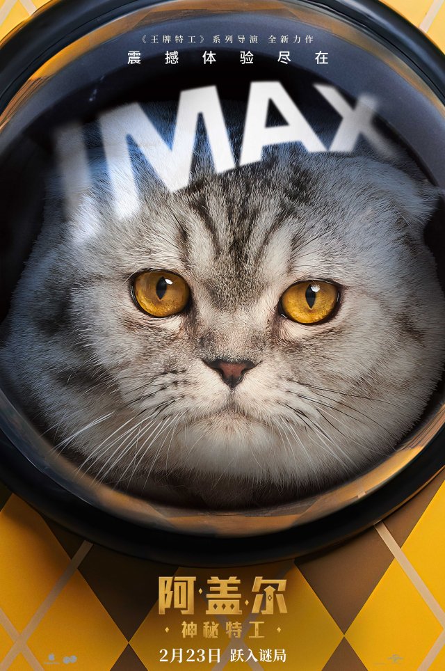 《阿盖尔：特工秘旅》IMAX海报曝光，豪华阵容引领全球大冒险