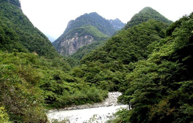 二郎山喇叭河景区「二郎山喇叭河景区下雪了吗」