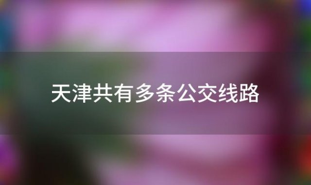 天津共有多条公交线路「天津共有多条公交线路有哪些」