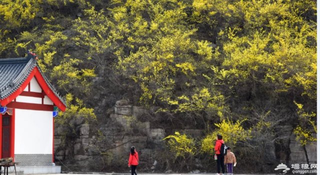 青铜山大峡谷位置「青铜山大峡谷景区位置」