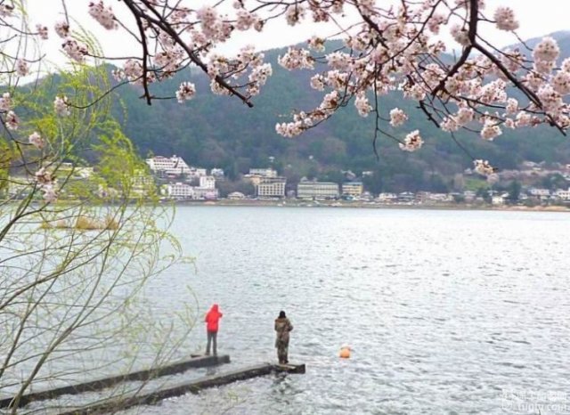 河口湖到箱根要多久「箱根去河口湖要多久」