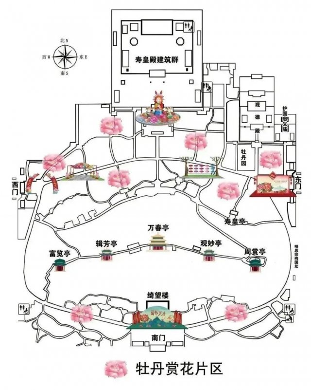 2024年北京景山公园牡丹花开了吗，景山公园牡丹节2024