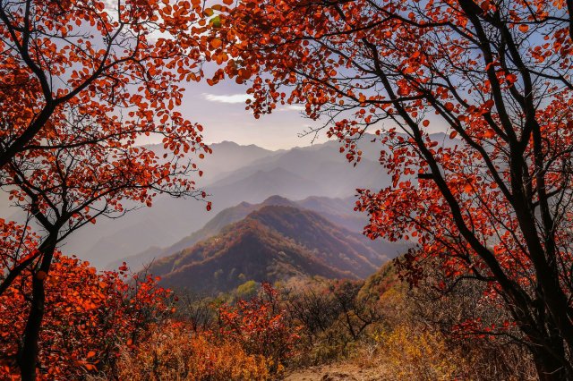 圭峰山好玩吗值得去吗，圭峰山好玩吗多少钱