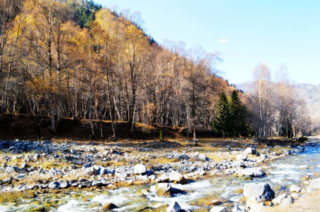 互助旅游网站是什么「互助旅游网站有哪些」