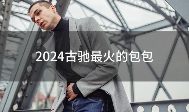 2024古驰最火的包包「古驰哪款包包最受欢迎」