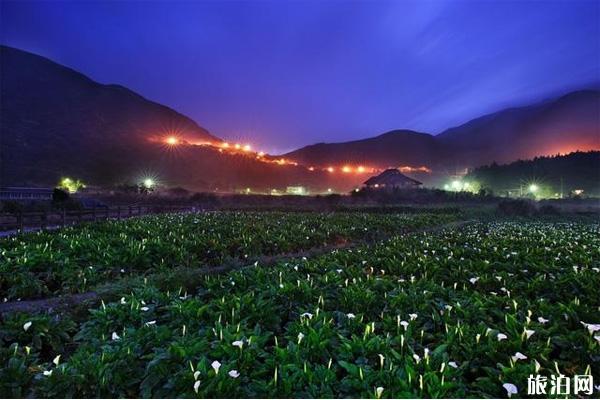 台北阳明山旅游攻略「台北阳明山一日游」