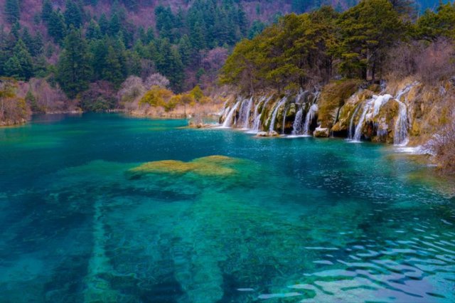 九寨沟旅游攻略必去景点 带老人和小孩从成都去九寨沟有什么好的旅游建议吗