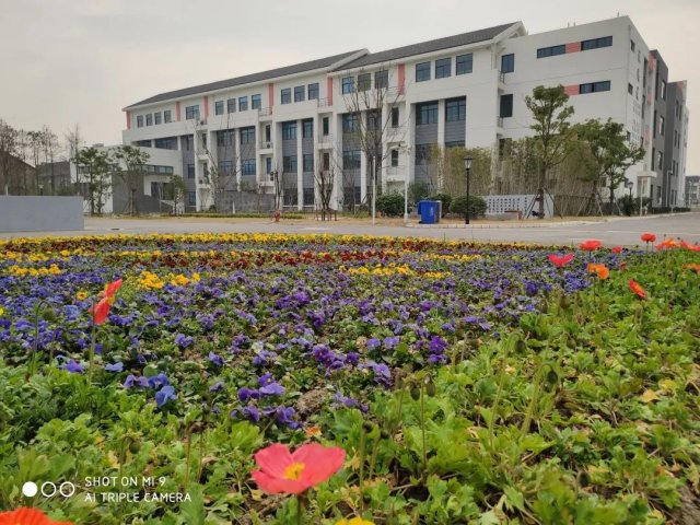 陆慕实验小学怎么样，相城第一实验小学和陆慕实验小学哪个好