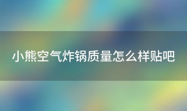 小熊空气炸锅质量怎么样贴吧，十大不建议买空气炸锅