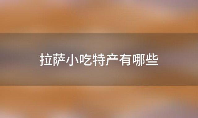 拉萨小吃特产有哪些「拉萨市区有什么好吃的」