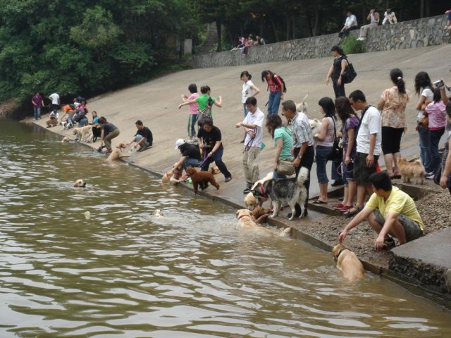 天鹿湖森林公园(天鹿湖森林公园在哪里)