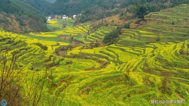 婺源篁岭景区 婺源篁岭景区介绍