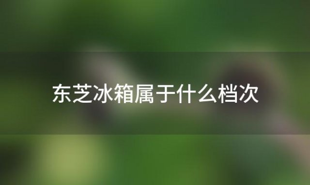 东芝冰箱属于什么档次，东芝冰箱怎么设置温度