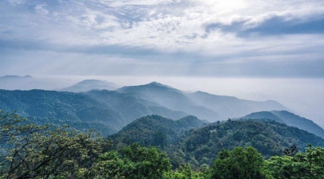 渚湖湿地公园和素有“千年古运河、百年小上海”之称的新城古镇