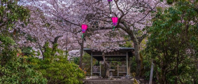 日本十大最热门的旅游景点