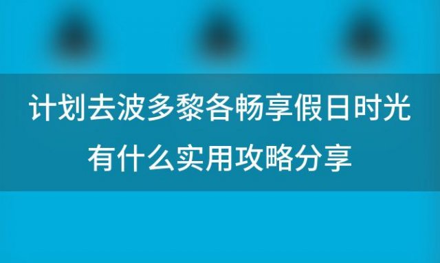 计划去波多黎各畅享假日时光有什么实用攻略分享