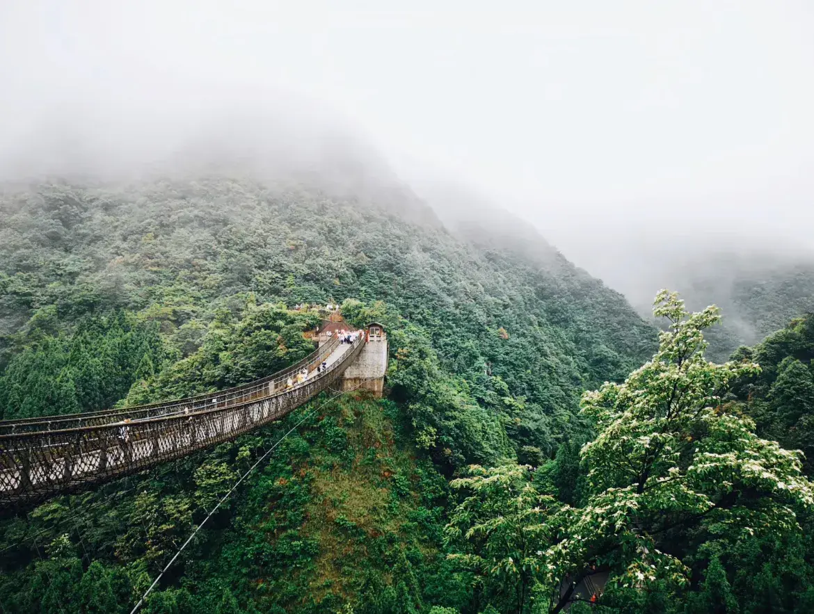 遵义最值得去的景点(贵州遵义十大景点)