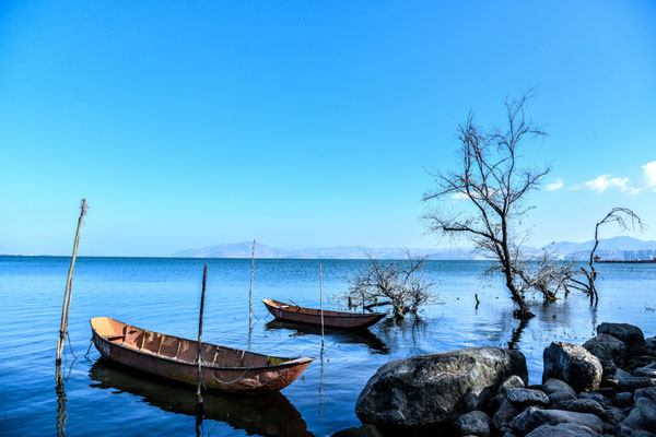 洱海什么季节有海鸥，洱海什么季节看海鸥最好