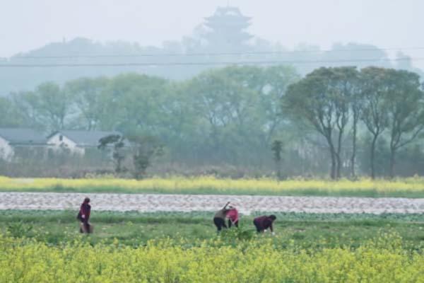 向往的生活5在哪拍的取景地「向往的生活5张艺兴」