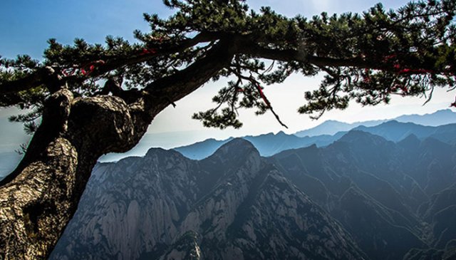 西岳指的什么山峰(西岳指的什么山脉)