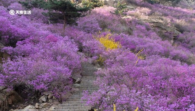 咸宁春季哪里风景好(咸宁哪里适合春游)