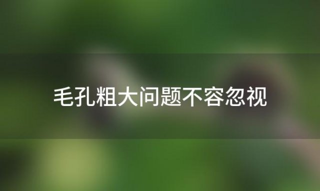 毛孔粗大问题不容忽视：了解原因与应对策略