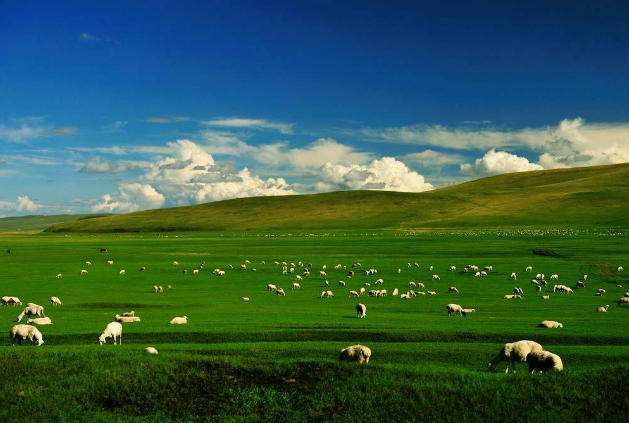 内蒙古十大必去景点凉城 内蒙古十大必去景点好玩的景点