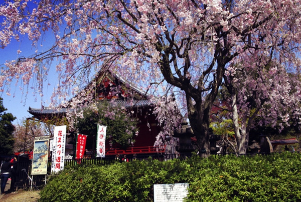 日本东京一定要去十大景点排名