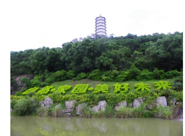 深圳什么地方好玩免费的(深圳什么地方好玩)