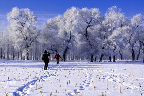 中国十大赏雪胜地_新闻频道