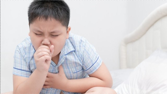 小孩子咳嗽怎么办(两个月小孩子咳嗽怎么办)