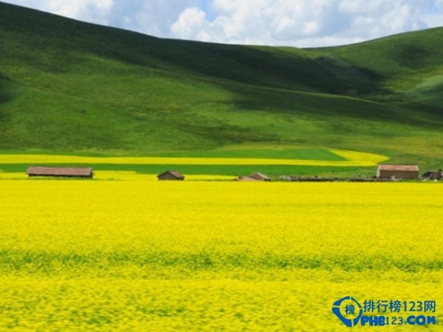 国内十大梦幻草原在哪里，国内十大梦幻草原排名