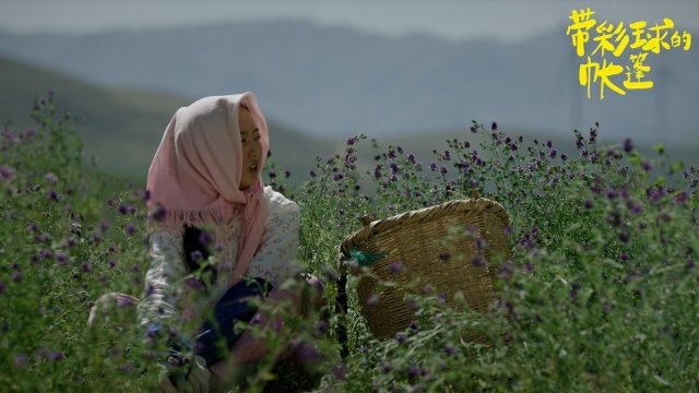 莫西子诗银幕首秀，《带彩球的帐篷》5月25日震撼上映