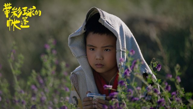 莫西子诗银幕首秀，《带彩球的帐篷》5月25日震撼上映