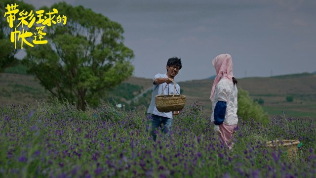 莫西子诗银幕首秀，《带彩球的帐篷》5月25日震撼上映