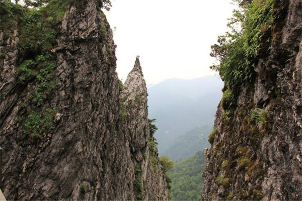 神农架最好玩的地方是哪里，神农架必玩的地方