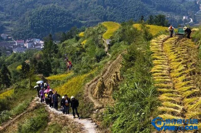 中国十大最美古道，中国十大最美古道在哪里