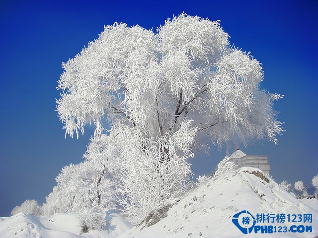 冬季国内十大最佳看雪地的地方(冬季国内看雪旅游攻略)