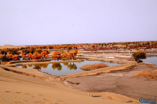 中国十大最美的露营旅游地在哪里「中国十大最美的露营旅游地点」