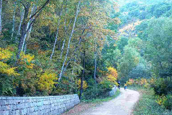 北京市内登山好去处(北京登山的好去处)