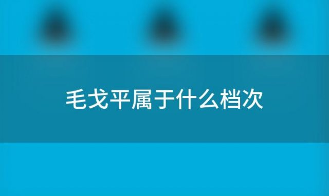 毛戈平属于什么档次(毛戈平化妆品属于什么档次)