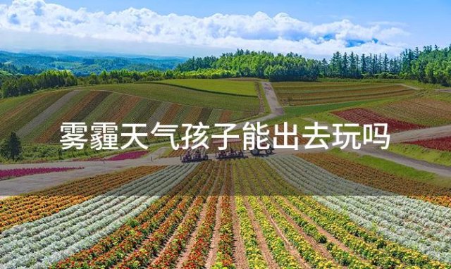 雾霾天气孩子能出去玩吗「雾霾天气对孩子的危害」