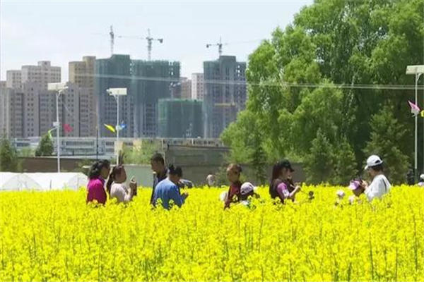 宝鸡十大景区排名你去过几个