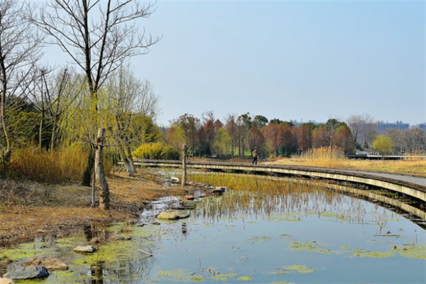 无锡免费湿地公园排名