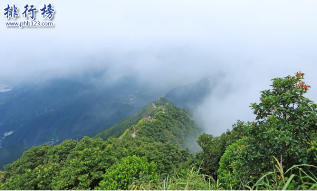 深圳旅游必去的地方有哪些好玩的 深圳旅游必去的地方有哪些景点