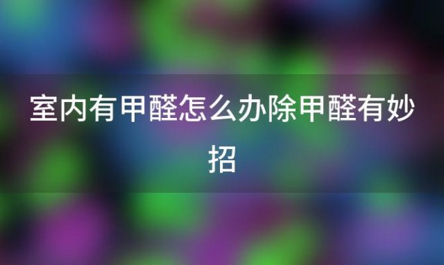 室内有甲醛怎么办除甲醛有妙招，室内有甲醛怎么办小妙招