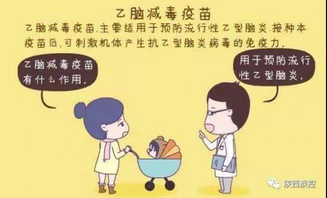 宝宝接种乙脑疫苗不良反应(宝宝打乙脑疫苗)