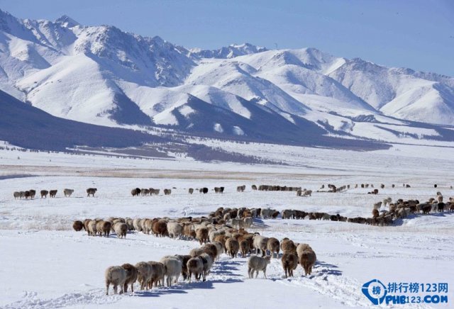 盘点国内冬季赏雪十大旅游地方(冬季看雪旅游景点推荐国内)