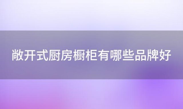 敞开式厨房橱柜有哪些品牌好「敞开式厨房橱柜效果图」