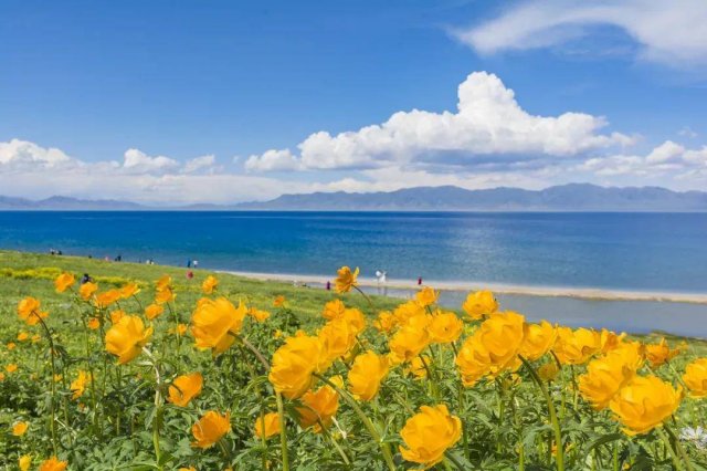 韶关去北海道怎么买机票便宜些，去韶关怎么坐飞机